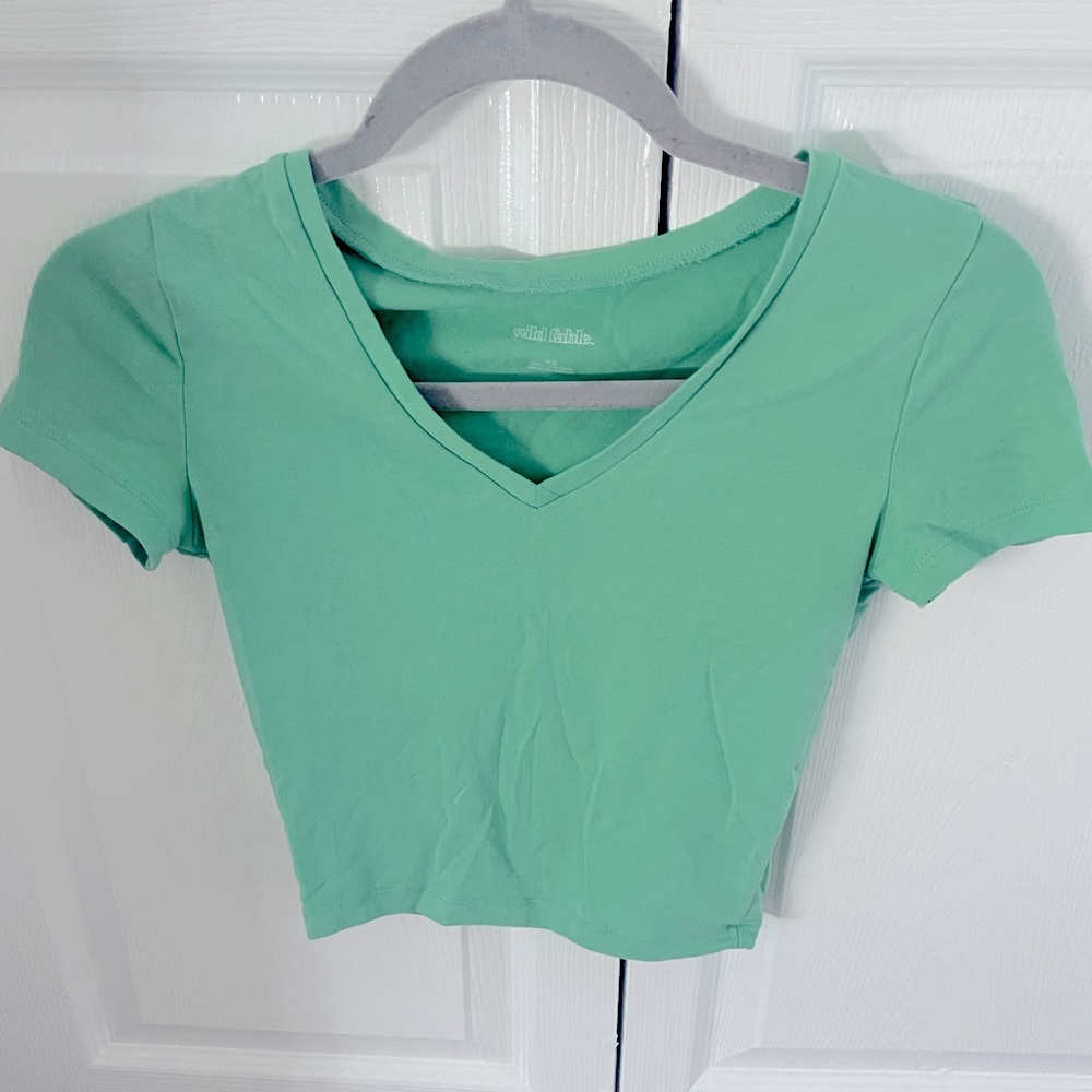 Wild Fable Mint Green Crop Top